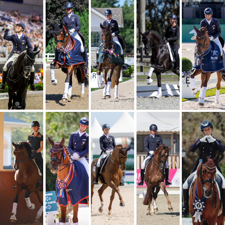 Zen Elite HorseRider Collage